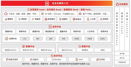 元数据驱动的YonBIP 奥龙信息软件如何真正让商业创新便捷高效
